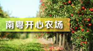 南粵開心農場